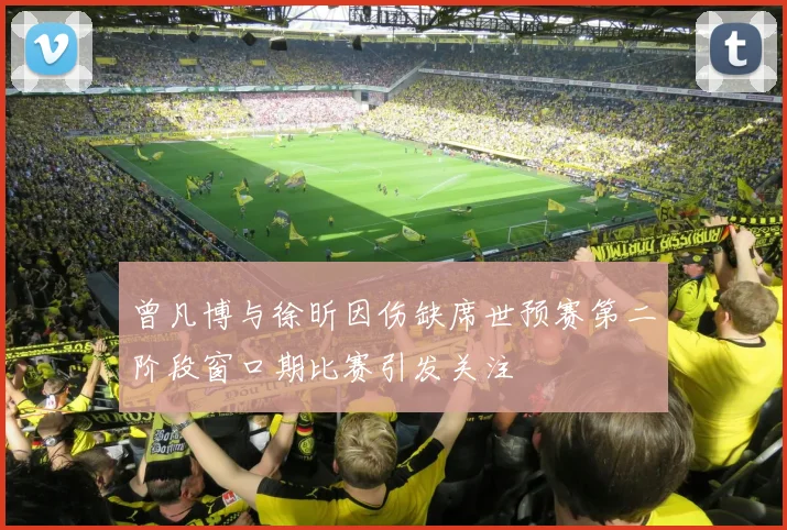 曾凡博与徐昕因伤缺席世预赛第二阶段窗口期比赛引发关注