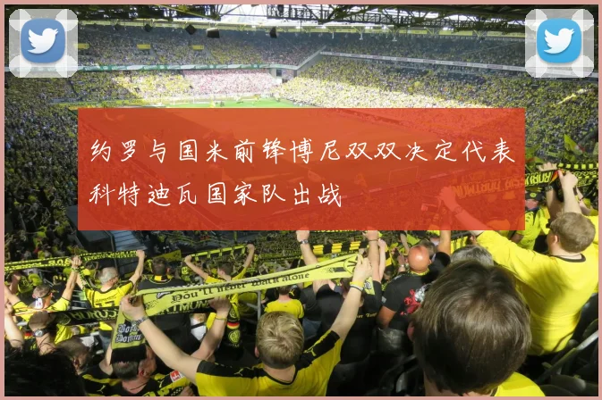 约罗与国米前锋博尼双双决定代表科特迪瓦国家队出战